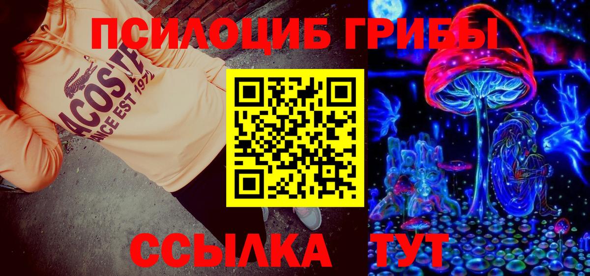 Псилоцибиновые грибы Cubensis Новороссийск
