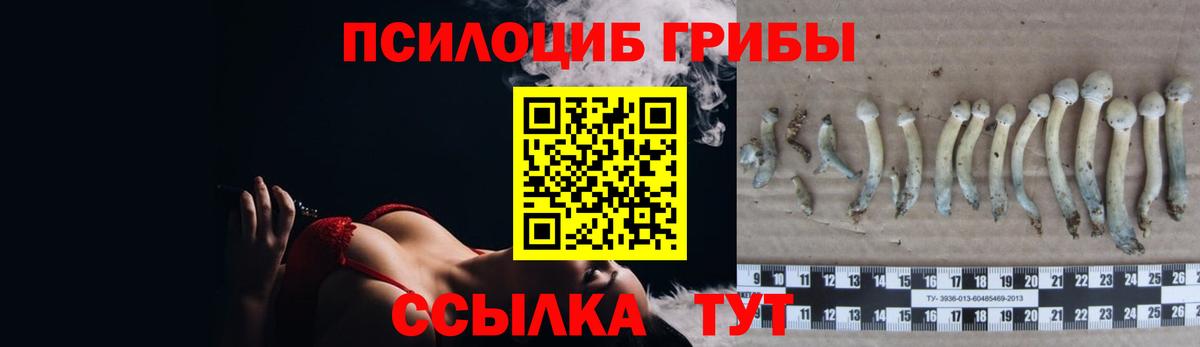 Новороссийск  Галлюциногенные грибы Magic Shrooms  Вход с VPN 