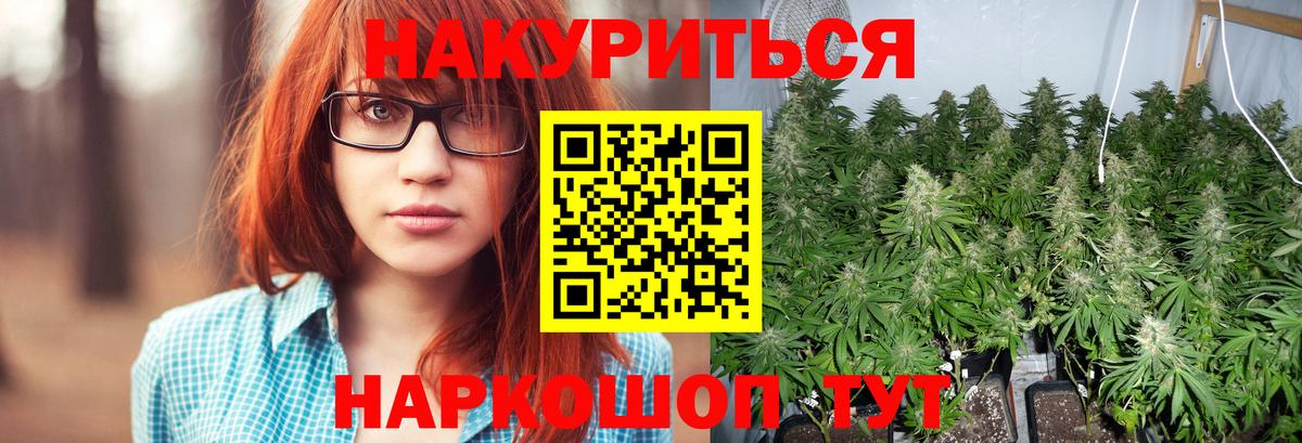 МАРИХУАНА индика Новороссийск