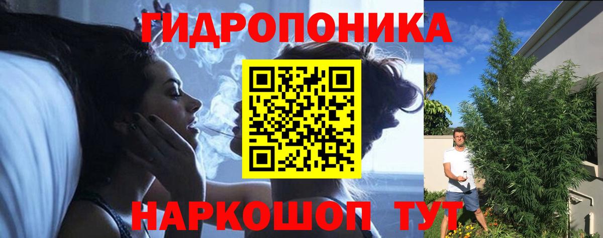 Канабис план  Вход с VPN  Каннабис Bruce Banner  Новороссийск 